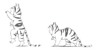Daar komt de tijger - tijgertje illustratie1